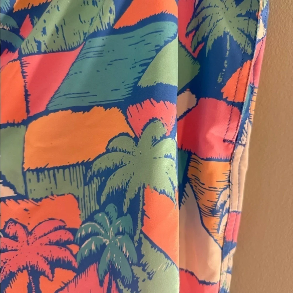 chubbies vibrant swim
